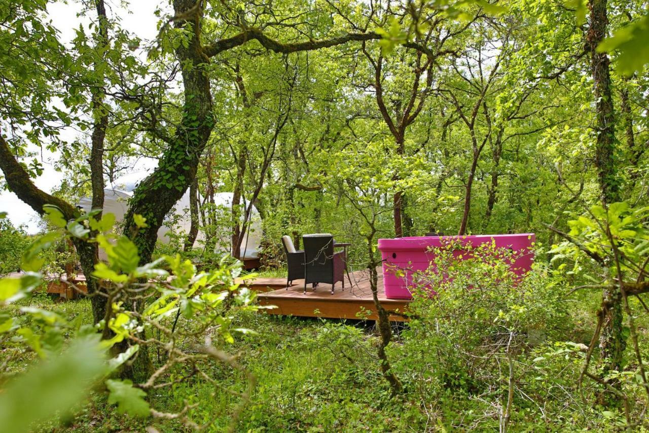 Coeur De Bull' Villa Cahuzac-sur-Vère Kültér fotó