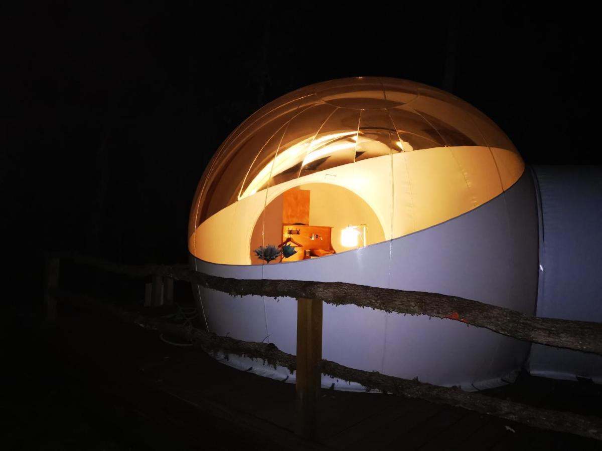 Coeur De Bull' Villa Cahuzac-sur-Vère Kültér fotó